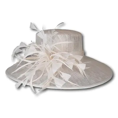Feather Burst Wide Brim