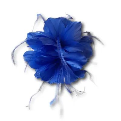 Failsworth Feather Burst Clip