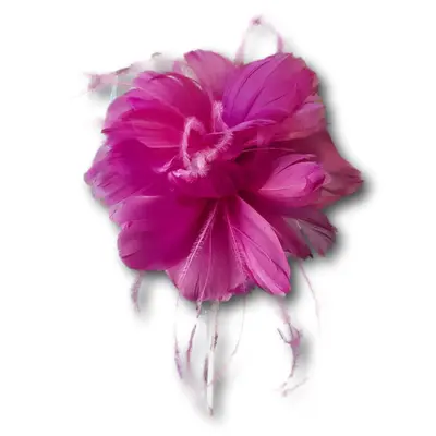 Failsworth Feather Burst Clip