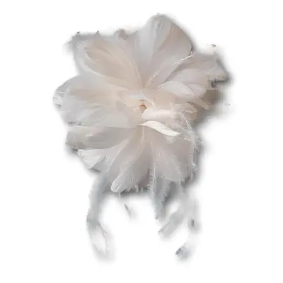 Failsworth Feather Burst Clip