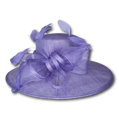 Large Brim Dress Hat with Feathers