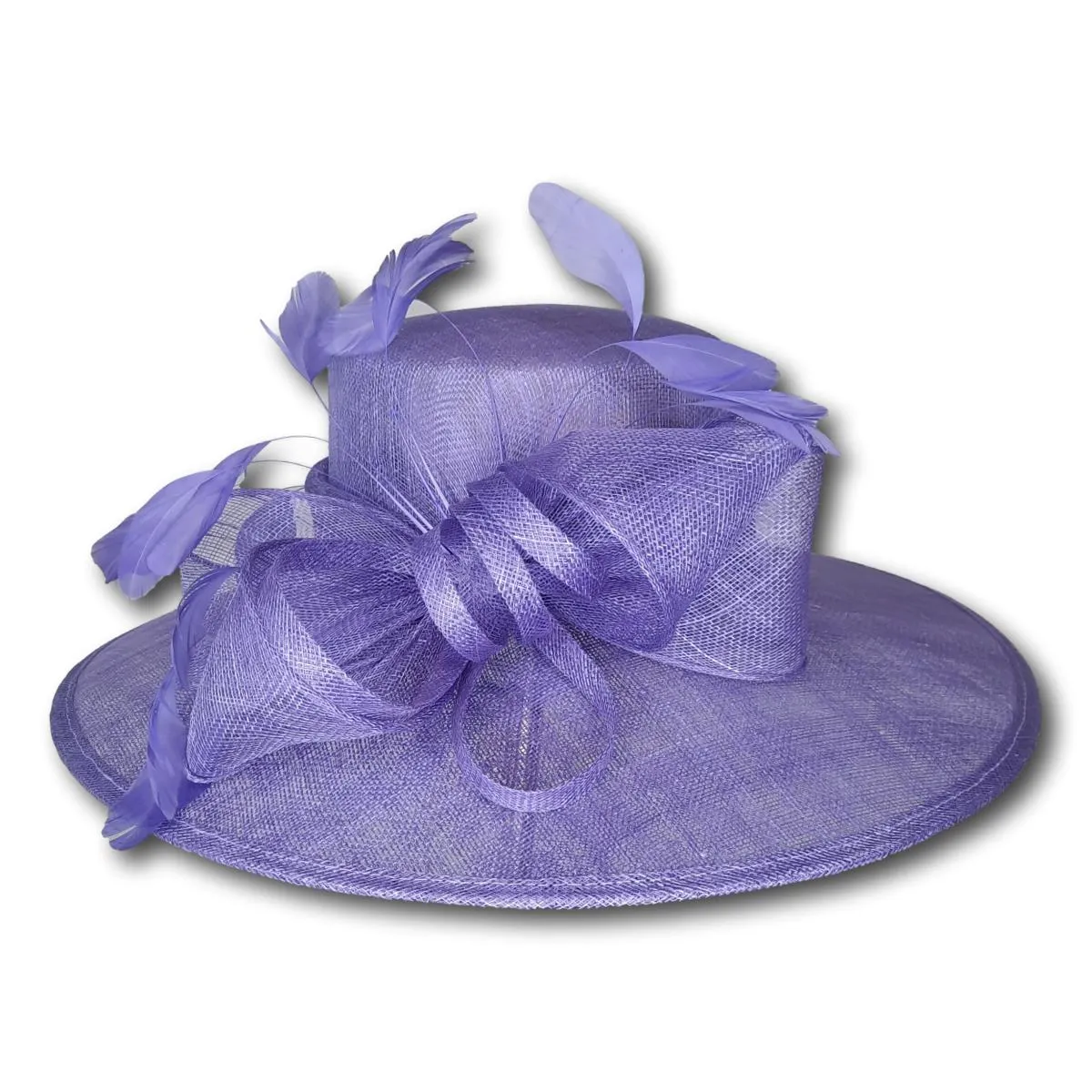 Large Brim Dress Hat with Feathers
