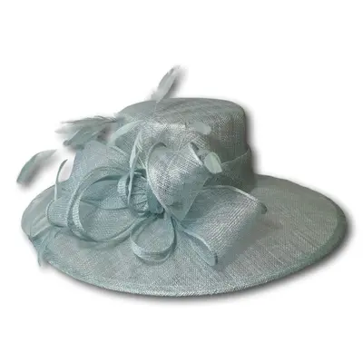 Large Brim Dress Hat with Feathers