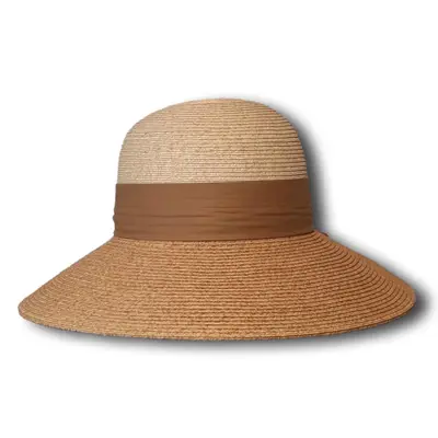 Two-Tone Paper Large Brim